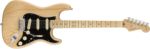 American Professional Stratocaster®