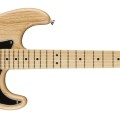 American Professional Stratocaster®