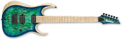 RGDIX6MPB