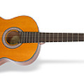 PRO-1 Classic Acoustic