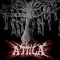 Attila(2)