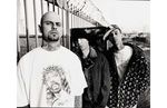 Transplants