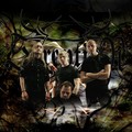 Soreption