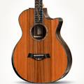 PS14ce 12-Fret LTD