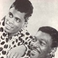 James & Bobby Purify