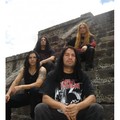 Transmetal