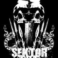 Sektor 304