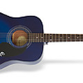 PRO-1 Acoustic