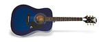 PRO-1 Acoustic