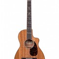 Larrivee PV-05MT