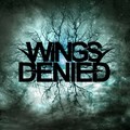 Wings Denied