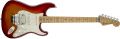 Standard Stratocaster® Plus Top with Floyd Rose® Tremolo