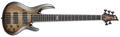 E-II BTL-5 - BLACK NATURAL BURST