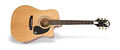 PRO-1 Ultra Acoustic/Electric