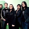 Krokus