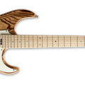 ESP SNAPPER - BURNER