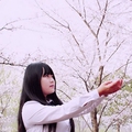 瑶聆(Amayi)