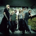 Backyard Babies(后宫佳丽乐队)