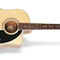 AJ-220SCE