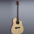 SOLESG-D110