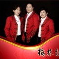 梅林组合