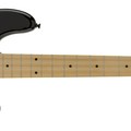 Roger Waters Precision Bass®