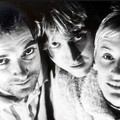 Spiderbait