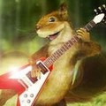 Pikku-Orava