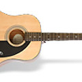 Ltd. Ed. AJ-100 Acoustic Guitar