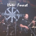 Hate Forest