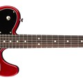 American Professional Telecaster® Deluxe ShawBucker™