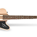 Thunderbird PRO-IV