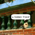 A Hidden Trace