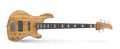 GB5-Custom