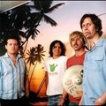 Hot Snakes