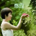 霍妍焱