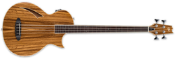 TL-4Z FRETLESS - NATURAL GLOSS