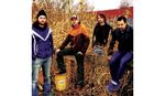 Truckfighters
