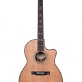 Larrivee LSV-11 Finger Style