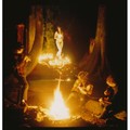 Wolves in the Throne Room