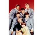The Cowsills