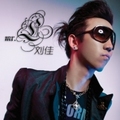 刘佳(Mr.L)