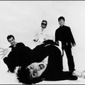 Spacehog