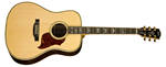 Gibson Acoustic Songwriter Deluxe Custom