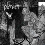 Plover