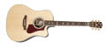 Gibson Acoustic Hummingbird Supreme Avant Garde