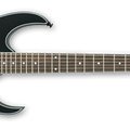 RG421EX