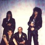X-Wild
