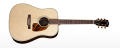 Gibson Acoustic J–60