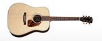 Gibson Acoustic J–60